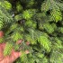 Brad artificial Sersimo, Hollandia, verde cu varfuri verzi, integral 3D, 230 cm [11]