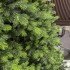 Brad artificial Sersimo, Hollandia, verde cu varfuri verzi, integral 3D, 250 cm [11]