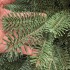 Brad artificial Christmas Deluxe by Sersimo, Norvegia verde, mix 2D+3D, 210 cm [7]