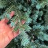 Brad artificial Sersimo, Scandinavia, verde cu varfuri argintii, integral 3D, 230 cm [5]