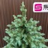 Brad artificial Sersimo, Scandinavia, verde cu varfuri argintii, integral 3D, 250 cm [9]