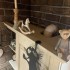 Decoratiune perete Krodesign Scared Cat, negru, 35 cm [4]