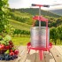 Presa manuala pentru struguri si fructe moi, Capacitate 14 l, Inox/Fonta, 405x975 mm [4]