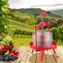 Presa manuala pentru struguri si fructe moi, Capacitate 9 l, Inox/Fonta, 405x705 mm [3]