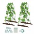 Set 2 spaliere pentru castraveti, plante agatatoare, 100x80, Pliabil [2]