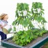 Set 2 spaliere pentru castraveti, plante agatatoare, 100x80, Pliabil [3]