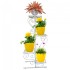 Suport pentru flori Vivatechnix VMD-1064, Alb, 50x22x105 cm, picioare reglabile [6]