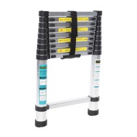 Scara telescopica 2.9m - 10 trepte Detoolz DZ-C243